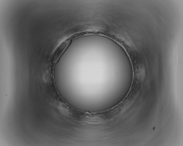 X0000112041256200908171504