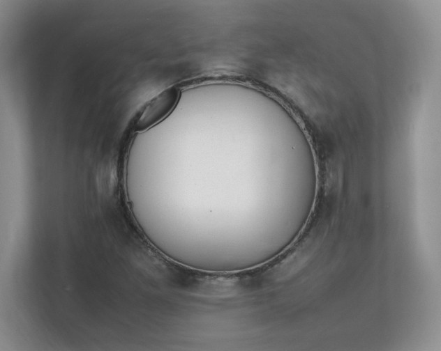 X0000112041261200908171504