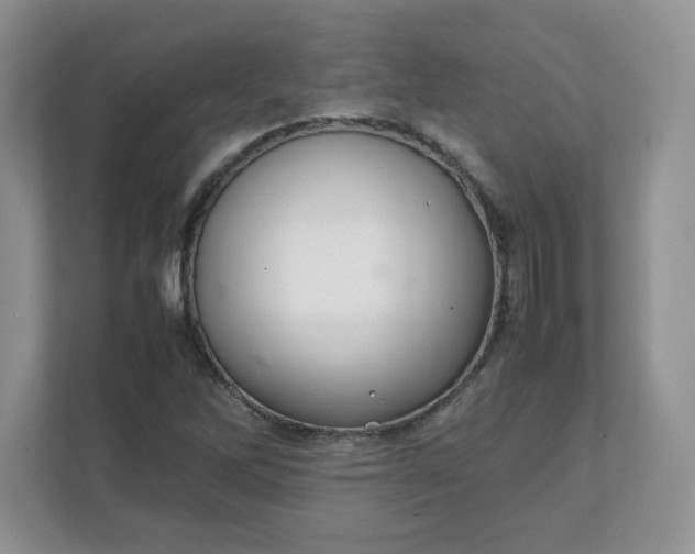 X0000112041262200908171504