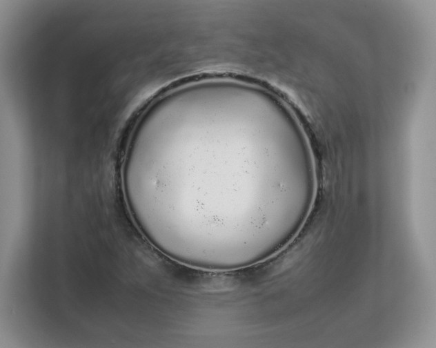 X0000112041263200908171504
