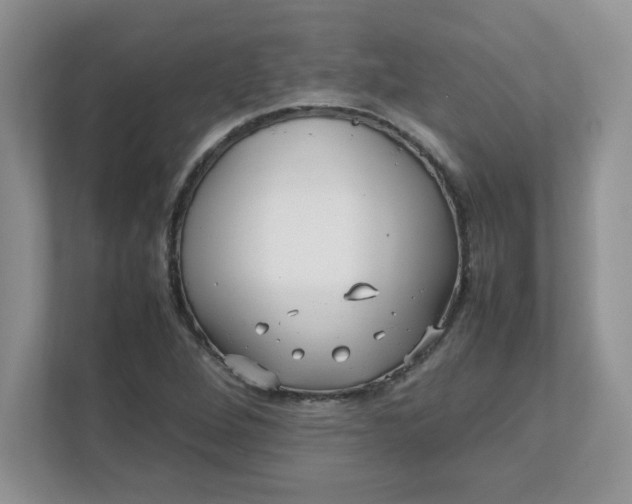 X0000112041264200908171504