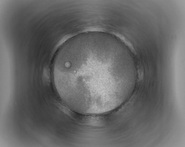 X0000112041266200908171504