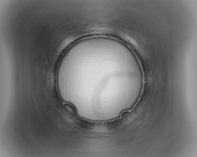 X0000112041267200908171504
