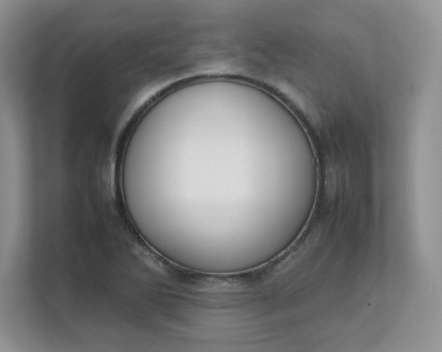 X0000112041270200908171504