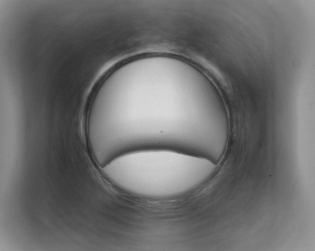 X0000112041272200908171504
