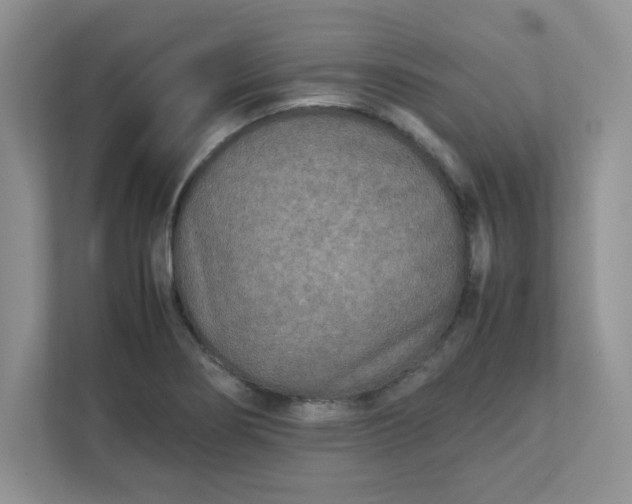 X0000112041274200908171504