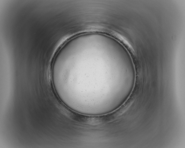 X0000112041275200908171504