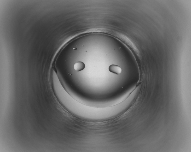 X0000112041276200908171503
