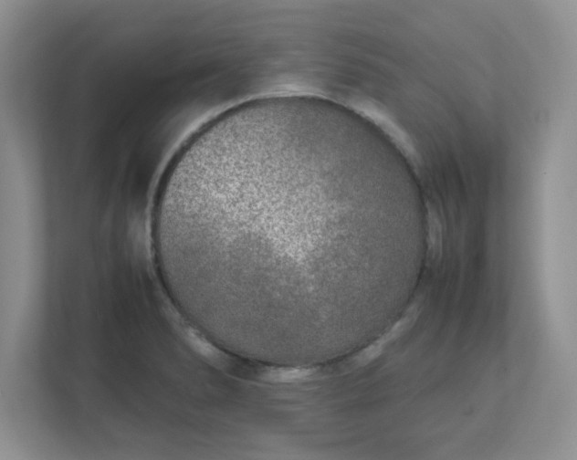 X0000112041278200908171503