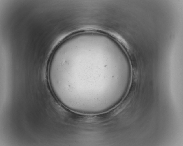 X0000112041279200908171503