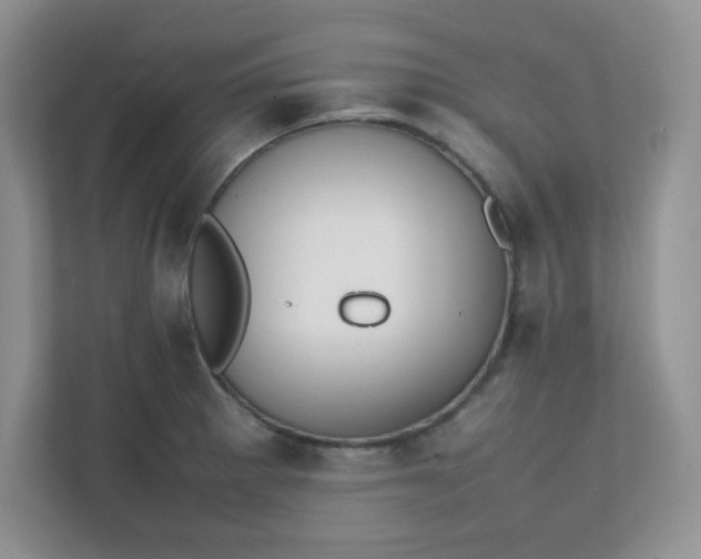 X0000112041281200908171503