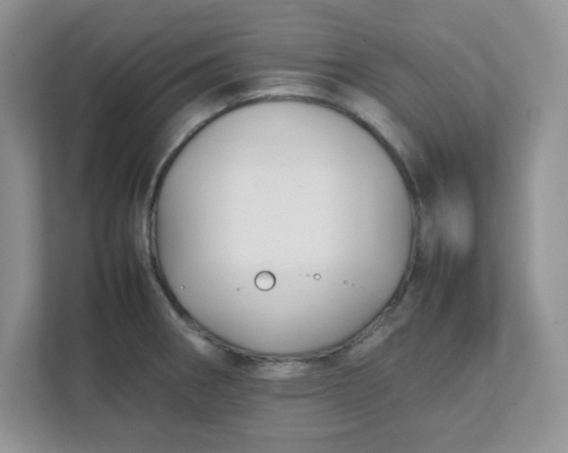 X0000112041282200908171503