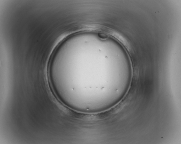 X0000112041283200908171503