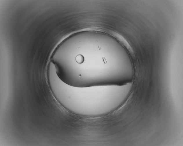 X0000112041284200908171503