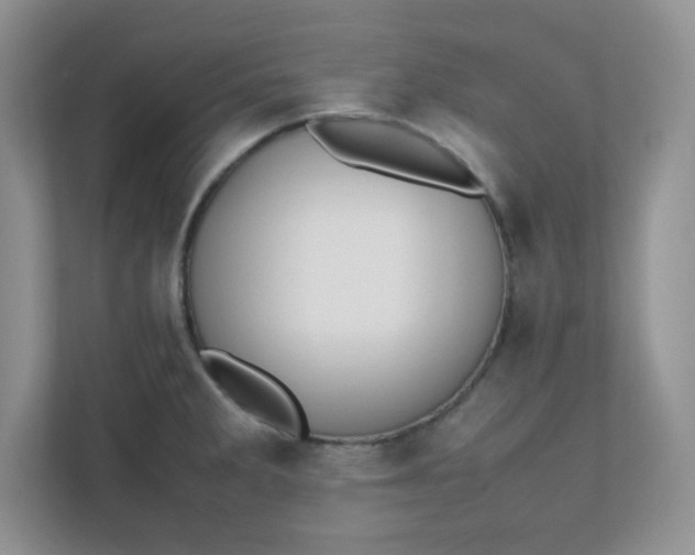 X0000112041285200908171503