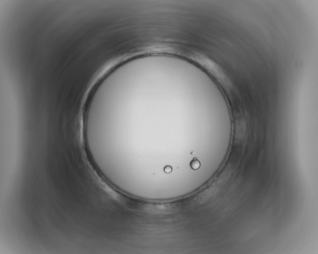 X0000112041286200908171503