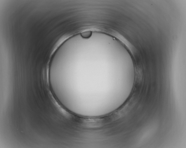 X0000112041290200908171503