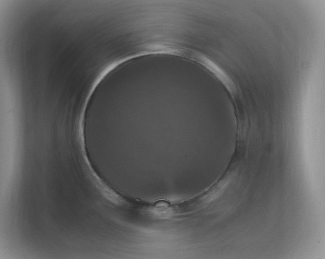 X0000112041291200908171503