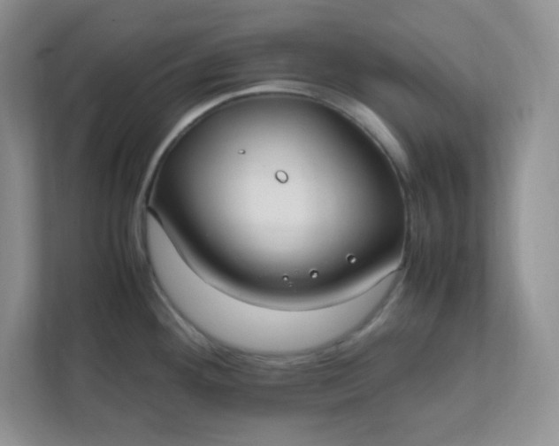 X0000112041292200908171503