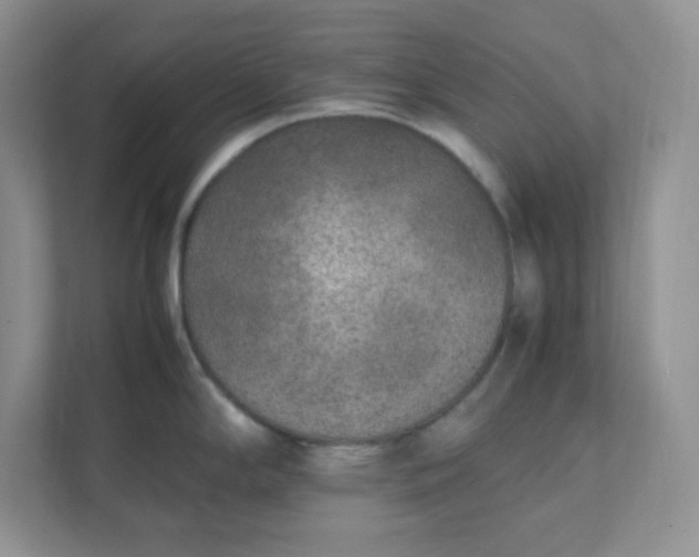 X0000112041294200908171503