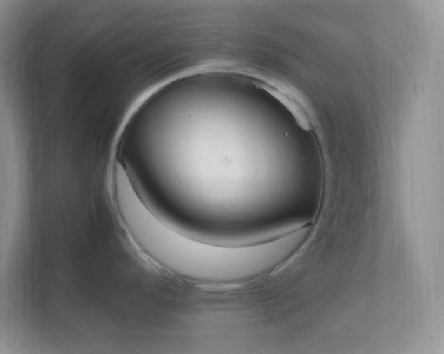 X0000112041296200908171503
