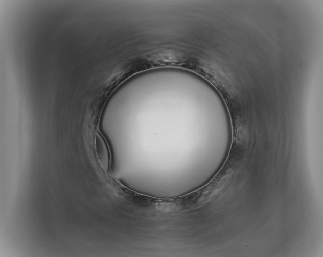 X0000112041297200908171503