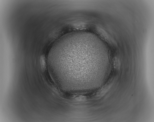 X0000112041298200908171503