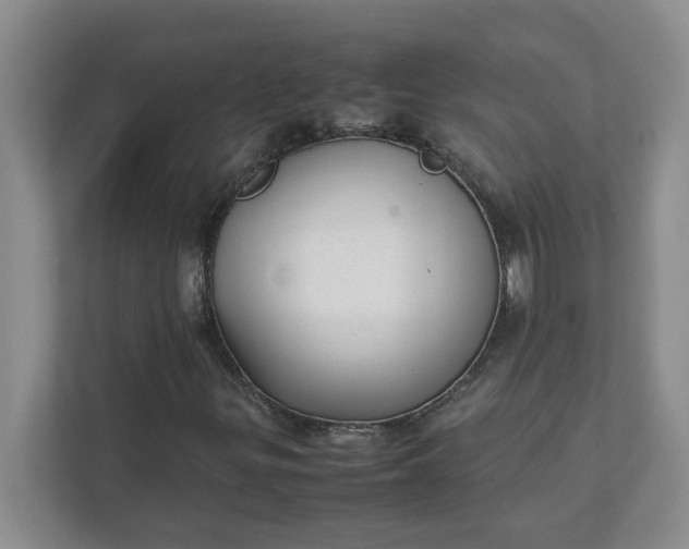 X0000112041299200908171503