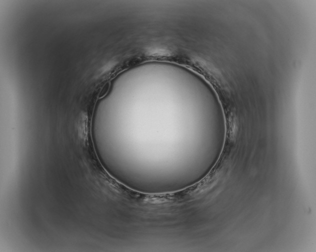 X0000112041301200908171503