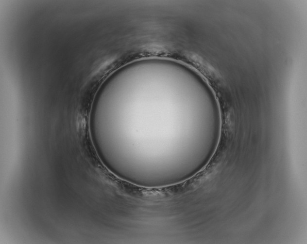 X0000112041302200908171503