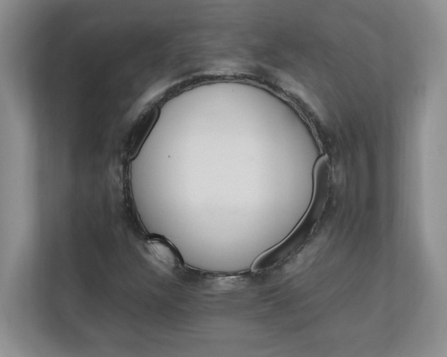 X0000112041304200908171503