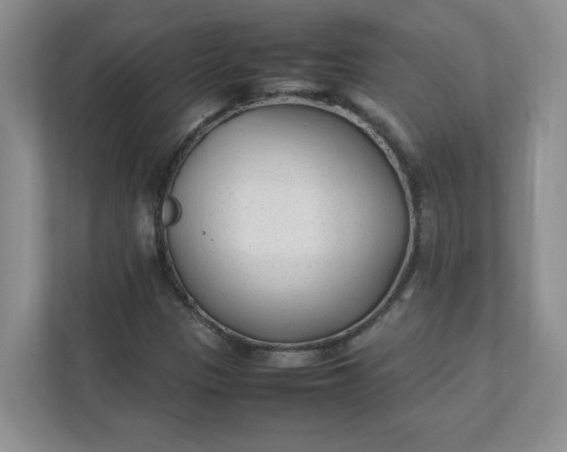 X0000112041305200908171503