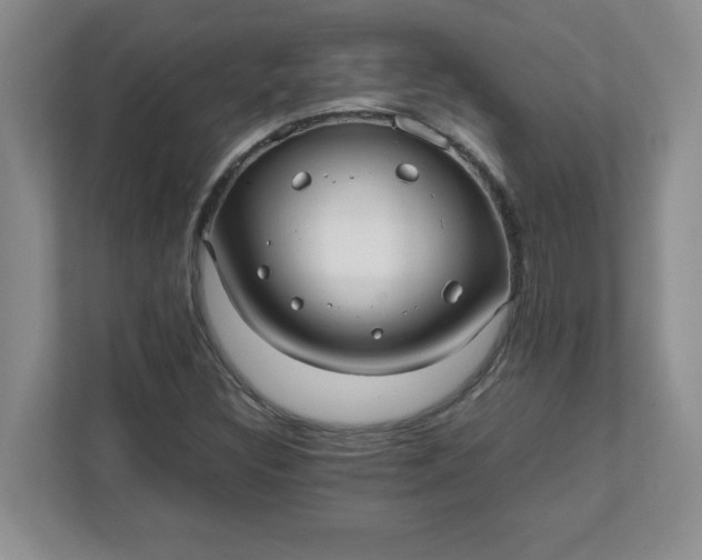 X0000112041308200908171503