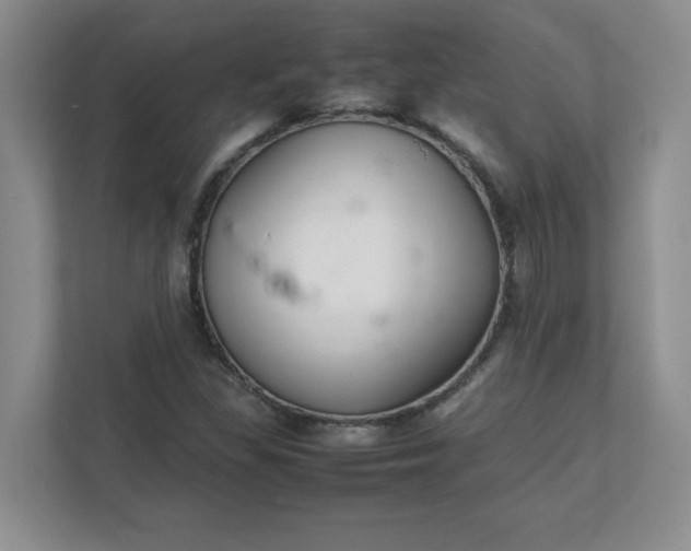 X0000112041309200908171503