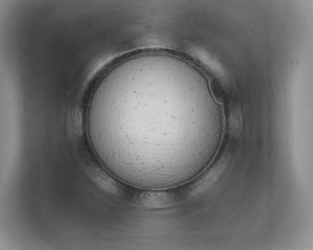 X0000112041310200908171503