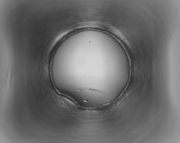 X0000112041312200908171503