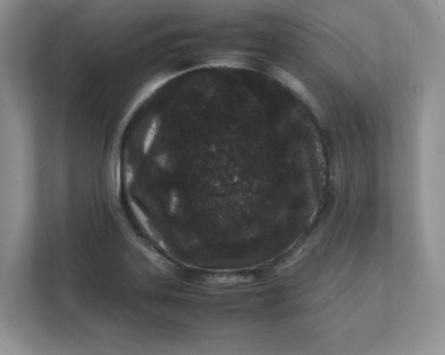 X0000112041323200908171503