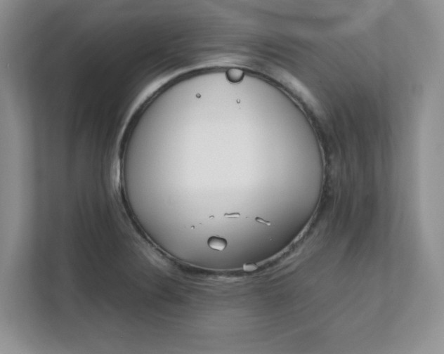 X0000112041324200908171503
