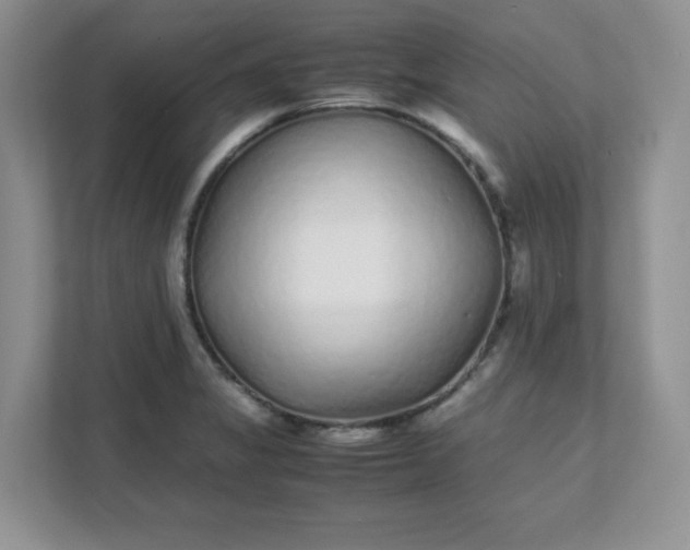 X0000112041325200908171503