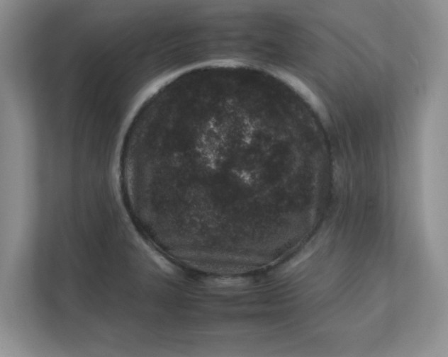 X0000112041327200908171503
