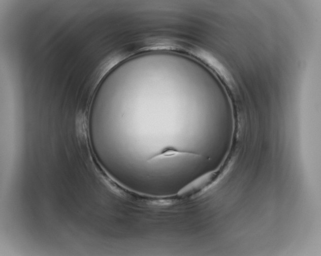 X0000112041329200908171503