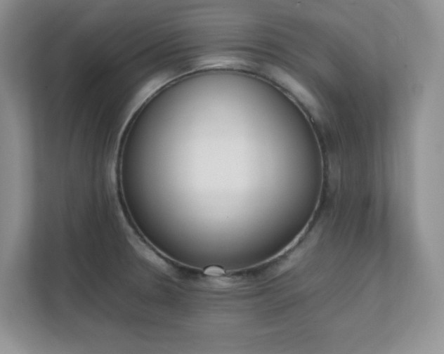 X0000112041330200908171503