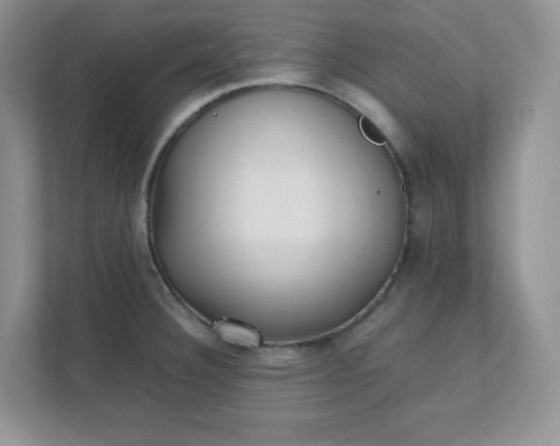 X0000112041332200908171503