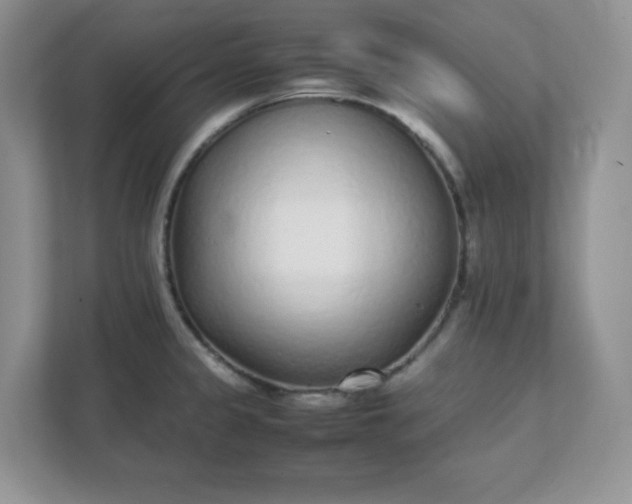 X0000112041333200908171503
