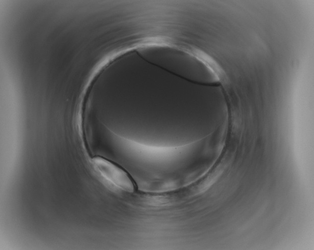 X0000112041334200908171503