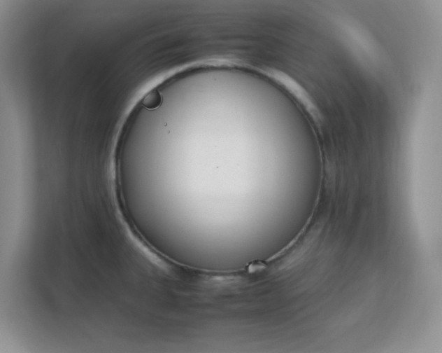 X0000112041335200908171503