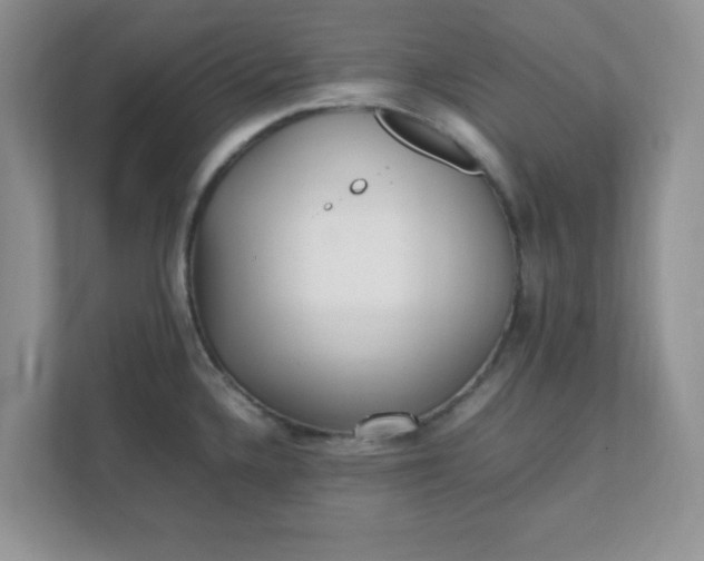 X0000112041336200908171503