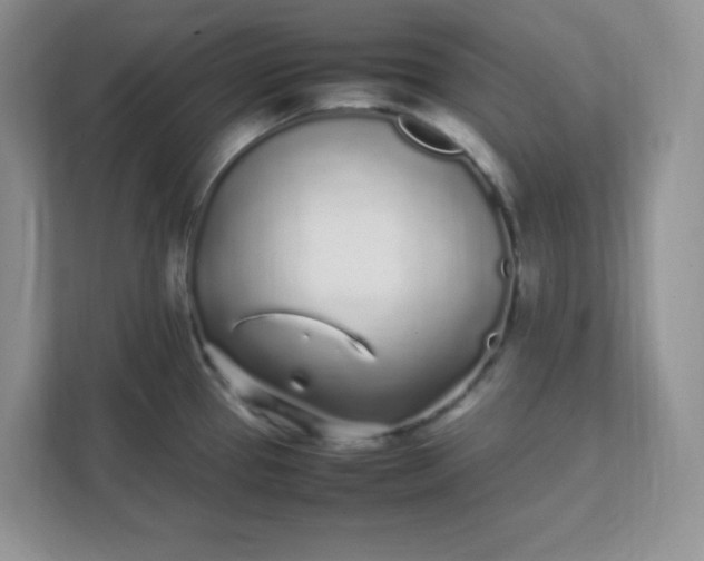 X0000112041337200908171503