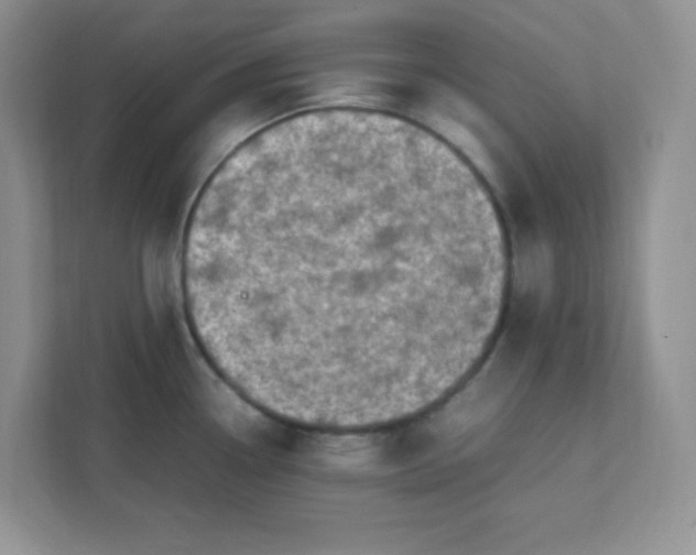 X0000112041338200908171503