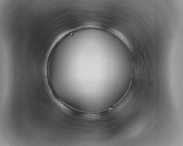 X0000112041339200908171503